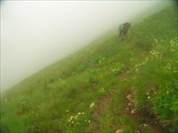 2006-07-22__18.05.55 - Долина Сарынсу. снова непогода-река Сарынсу